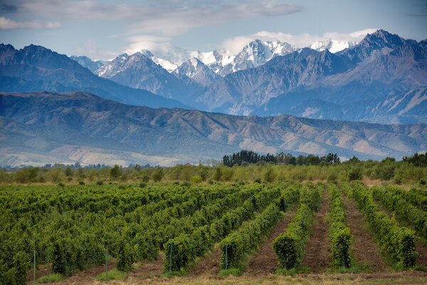 Mendoza Wine Valley in Argentina