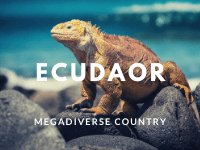 ecuador megadiverse
