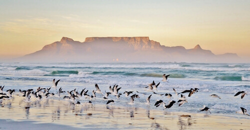 table mountain south africa
