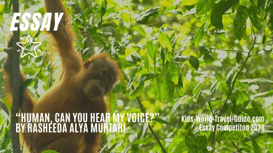 orang utan essay 2023 orang utan essay 2023