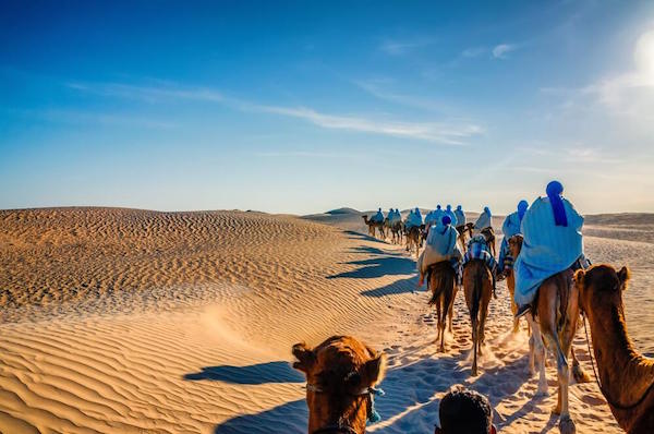 camel trek in the tunisian desert