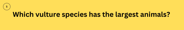 animalquiz5 animalquiz5